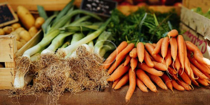 Simple Solutions to Avoid Harmful Toxins in Food